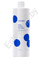 Шампунь для волос глубокой очистки PROFY TOUCH CONCEPT MINSK deep cleaning shampoo 1000 мл