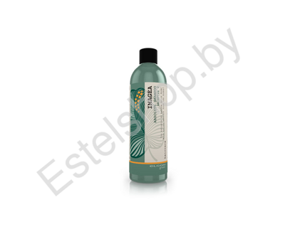 Шампунь мицеллярный для химически обработанных, окрашенных, осветленных и пористых волос ELGON IMAGEA ABSOLUTE 50 мл